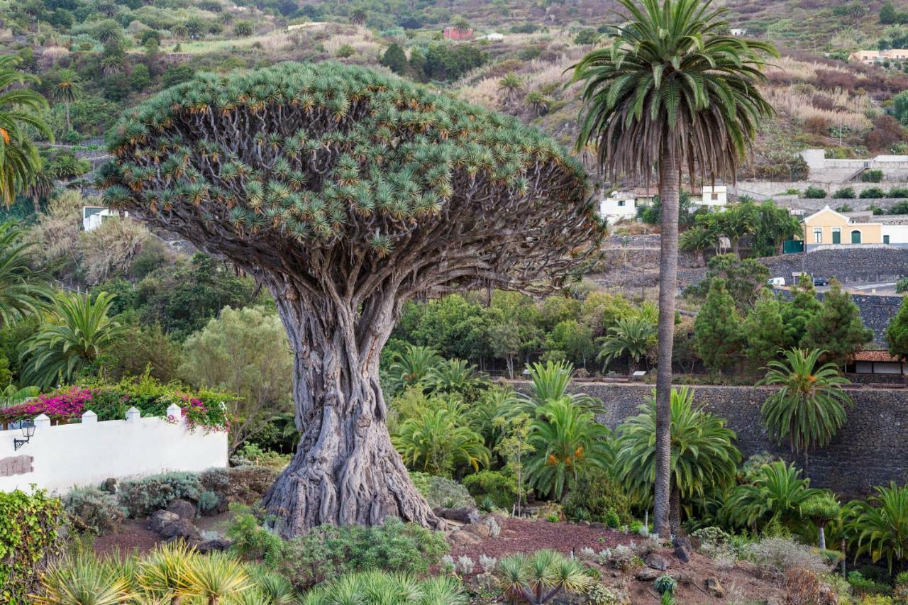 Alberto Dorner - Grand อิคอดเดลอสวินอส ภายนอก รูปภาพ